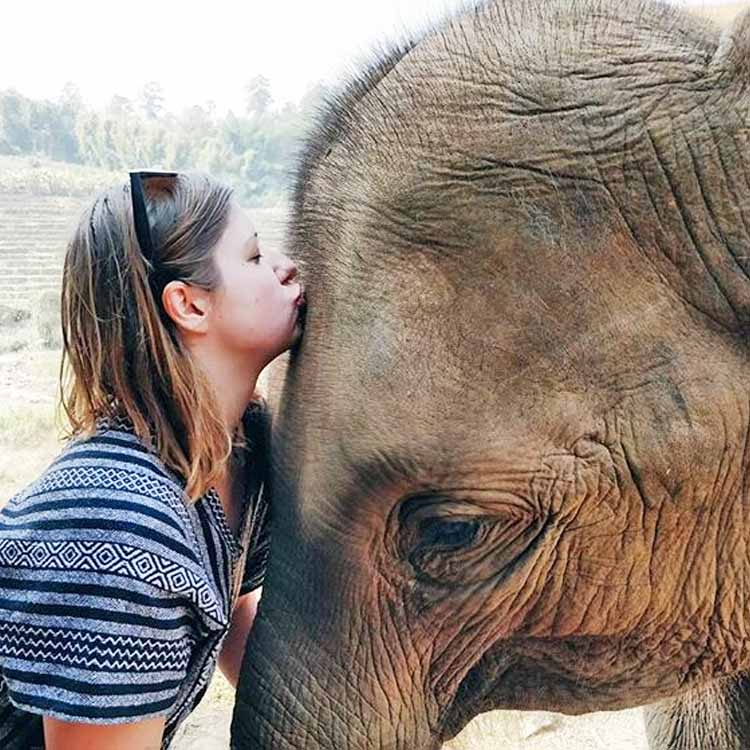 Elefanten Liebe in Kambodscha