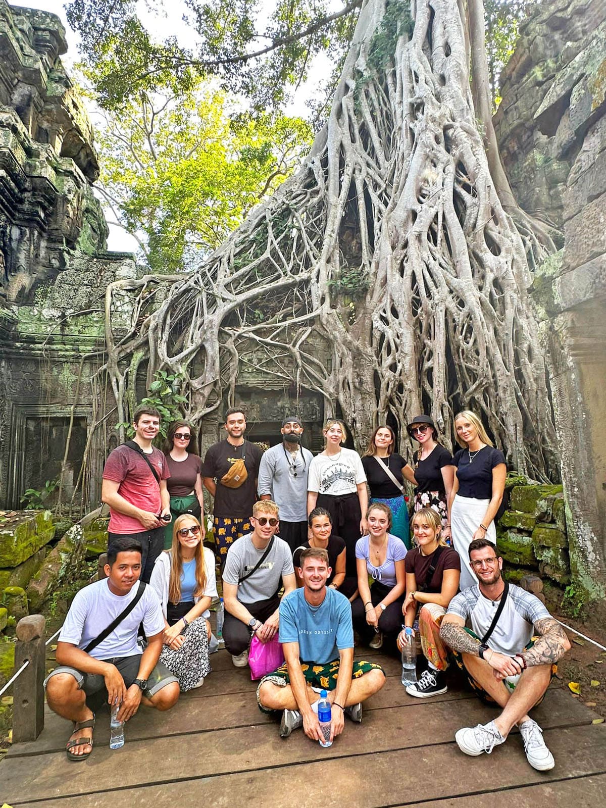 Angkor Wat Baum Gruppe