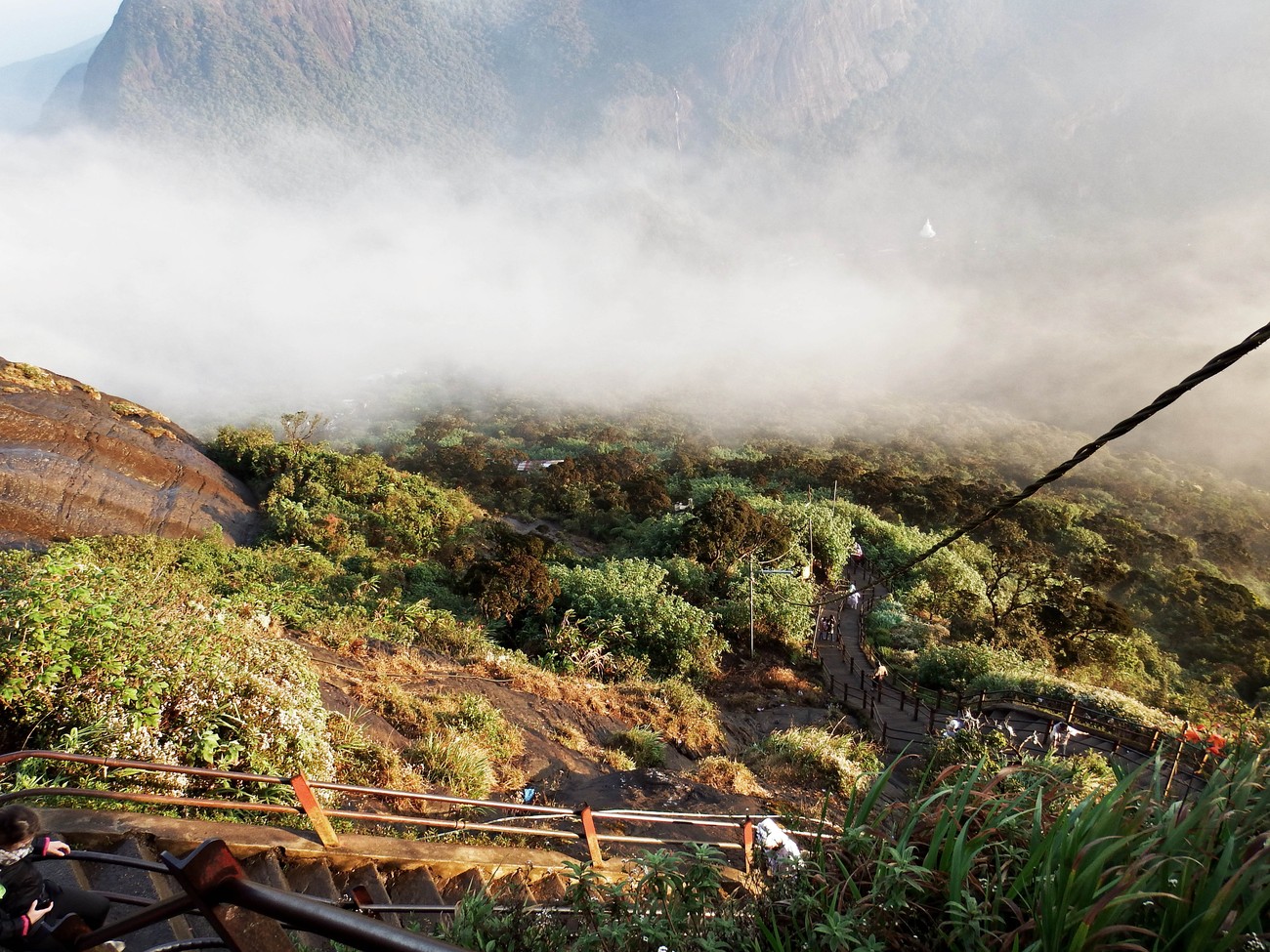 Weg durch Teeplantage in Bandarawela