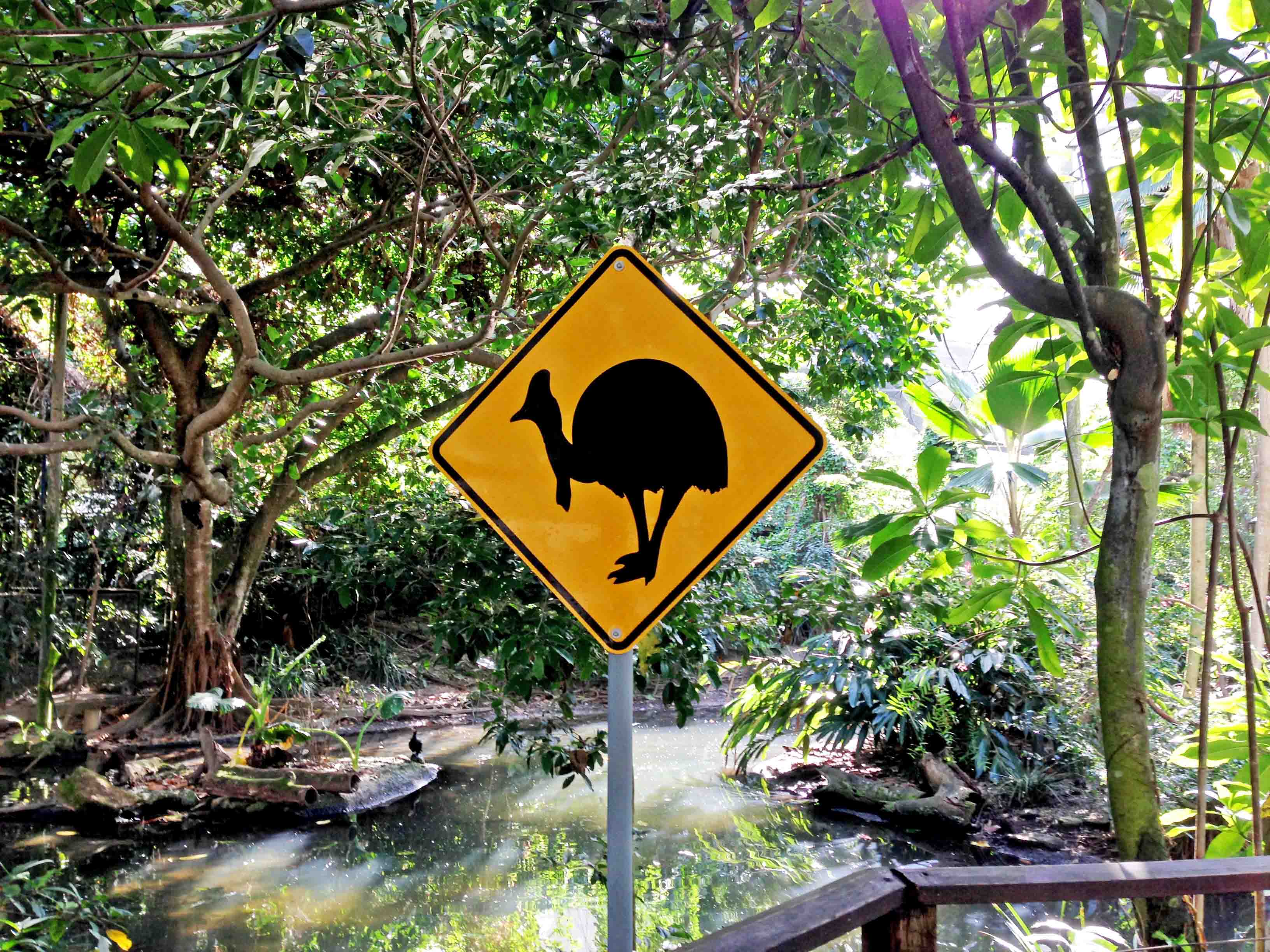 Cassowary Schild