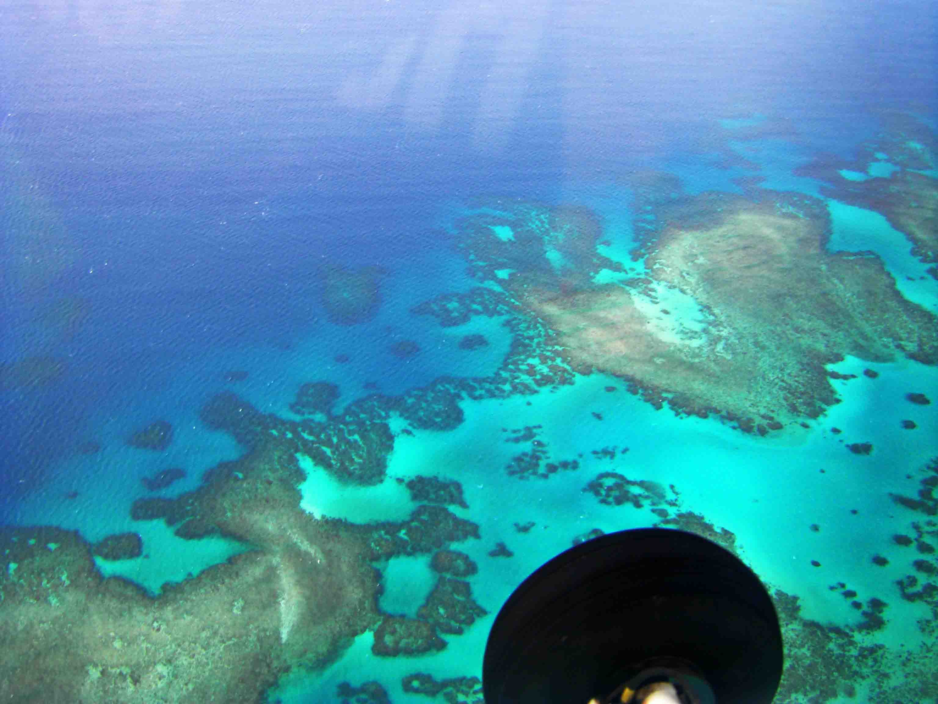 GreatBarrierReef