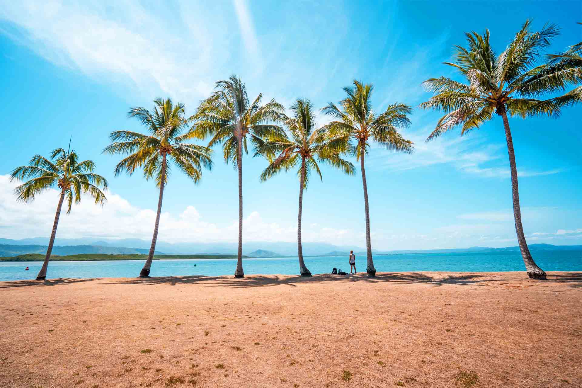 Palmen auf Magnetic Island