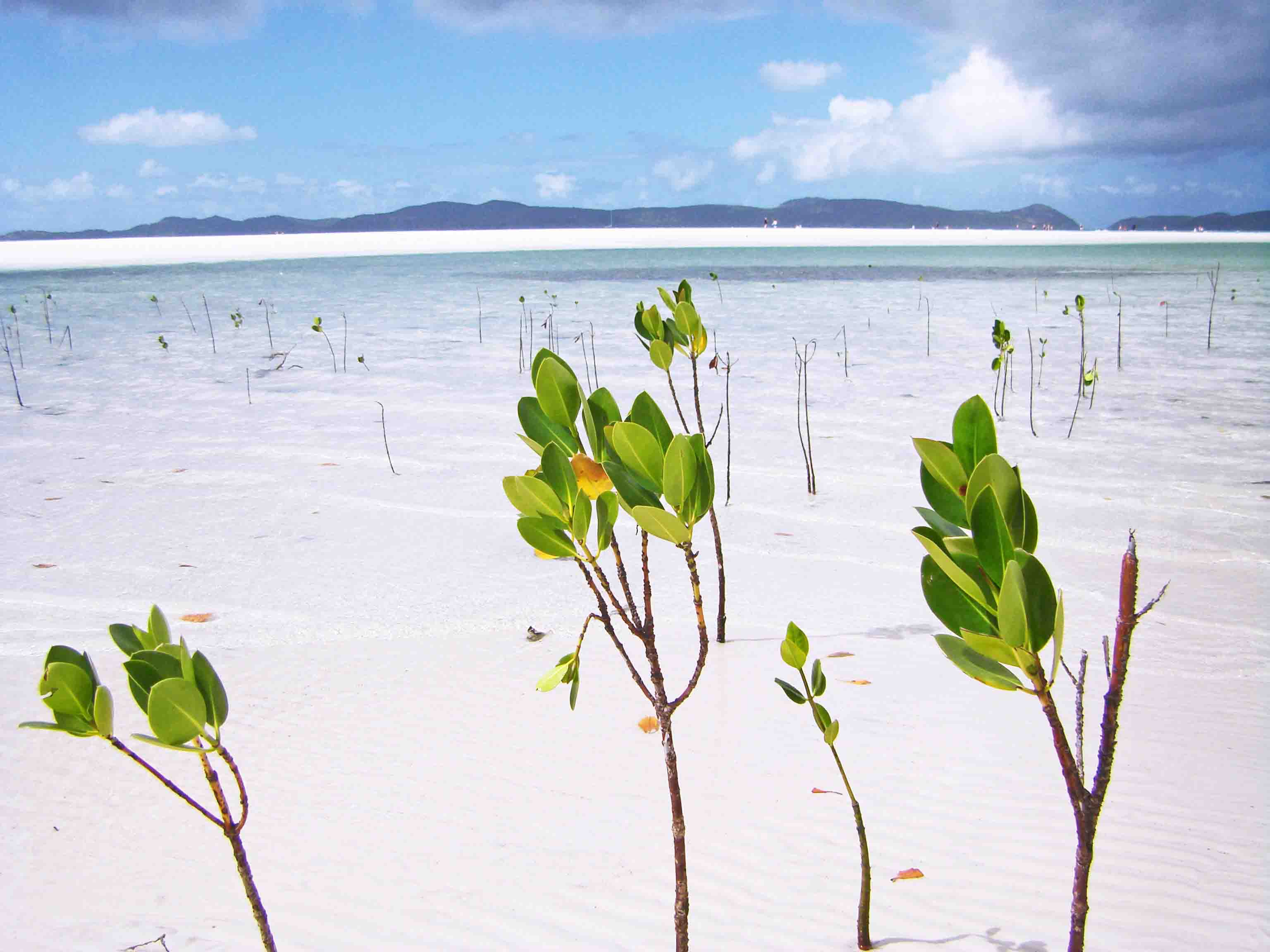 Paradies Strand