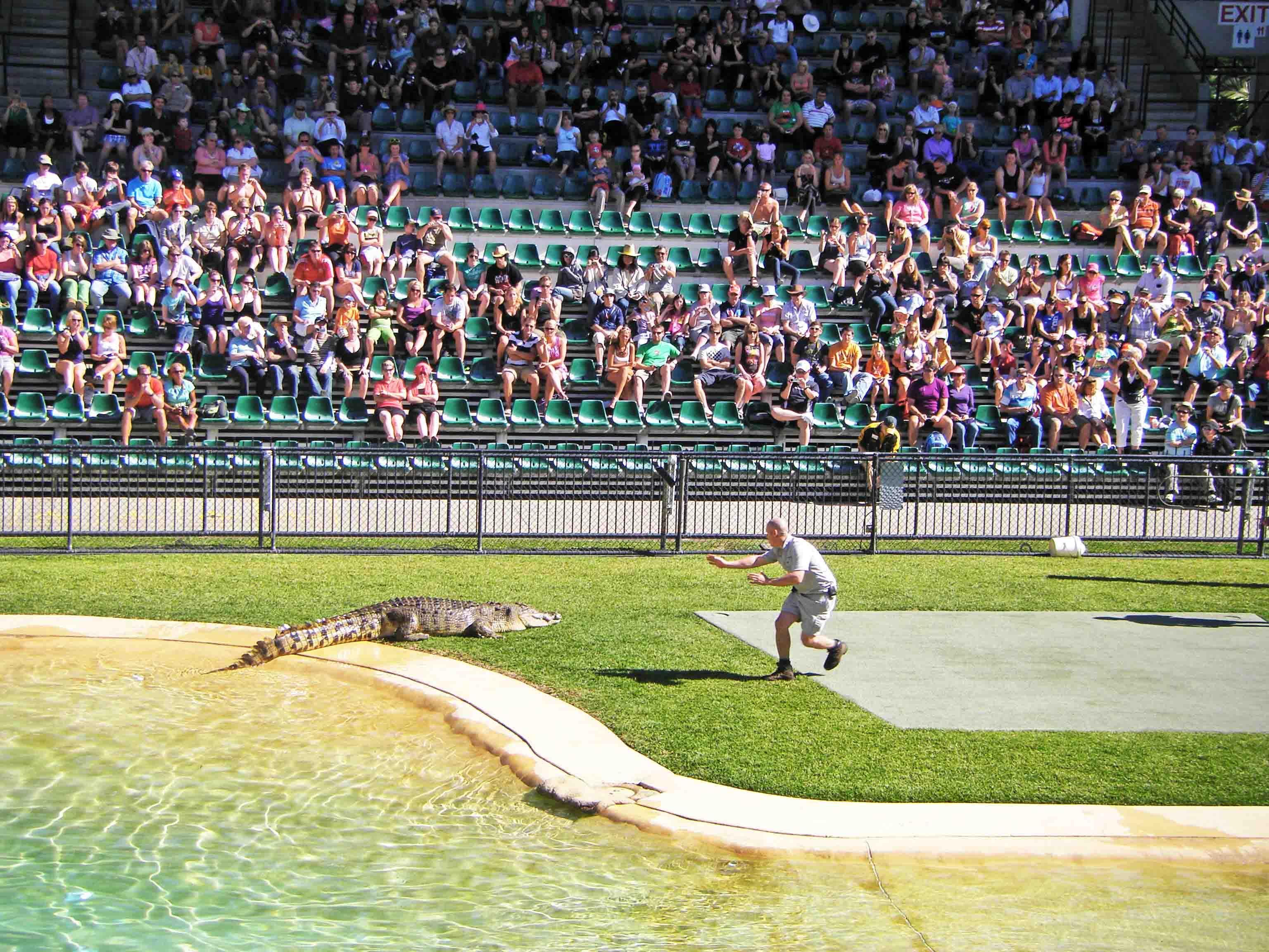 SteveIrwin Zoo Brisbane