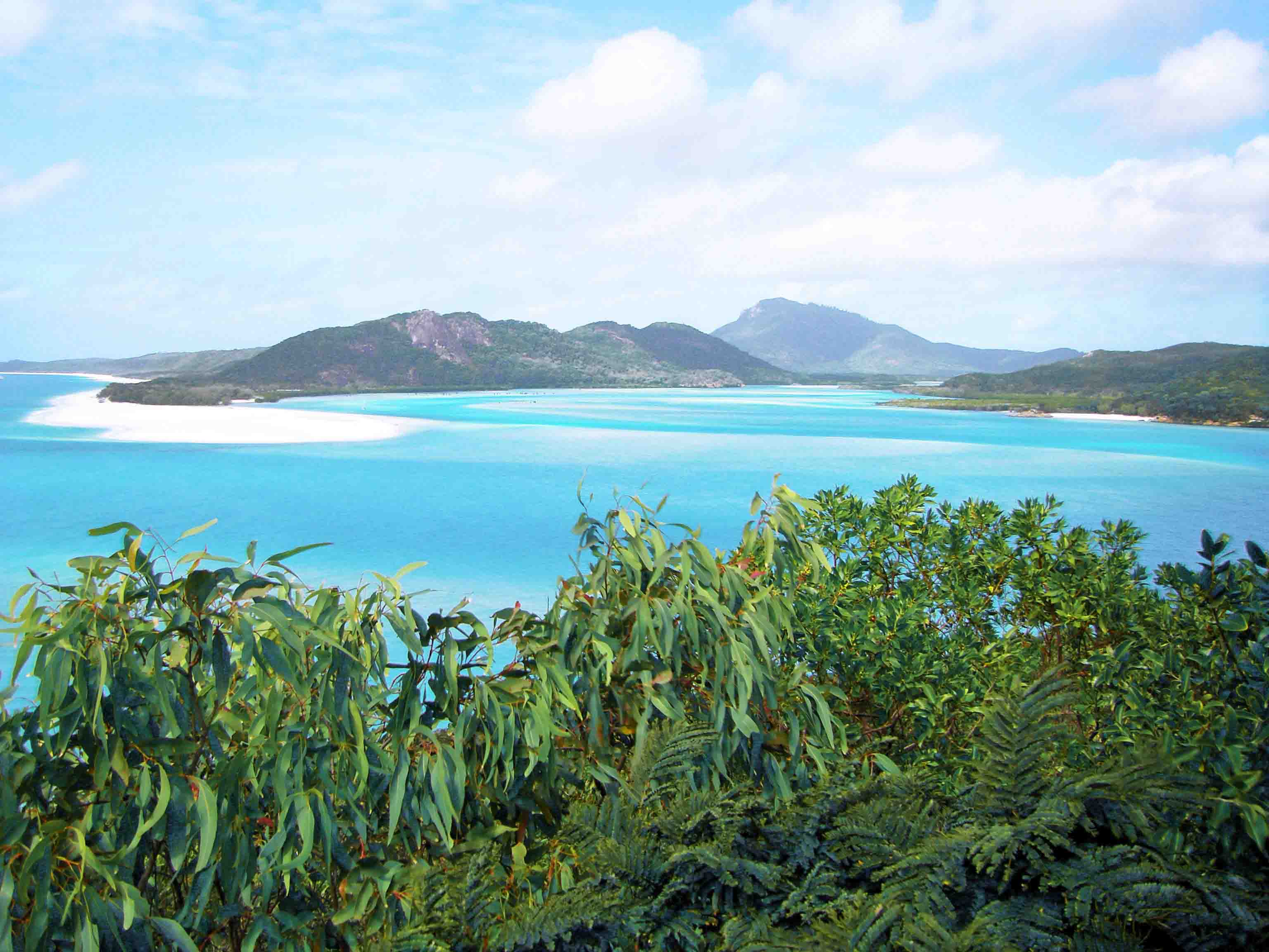 Whiteheaven Strand