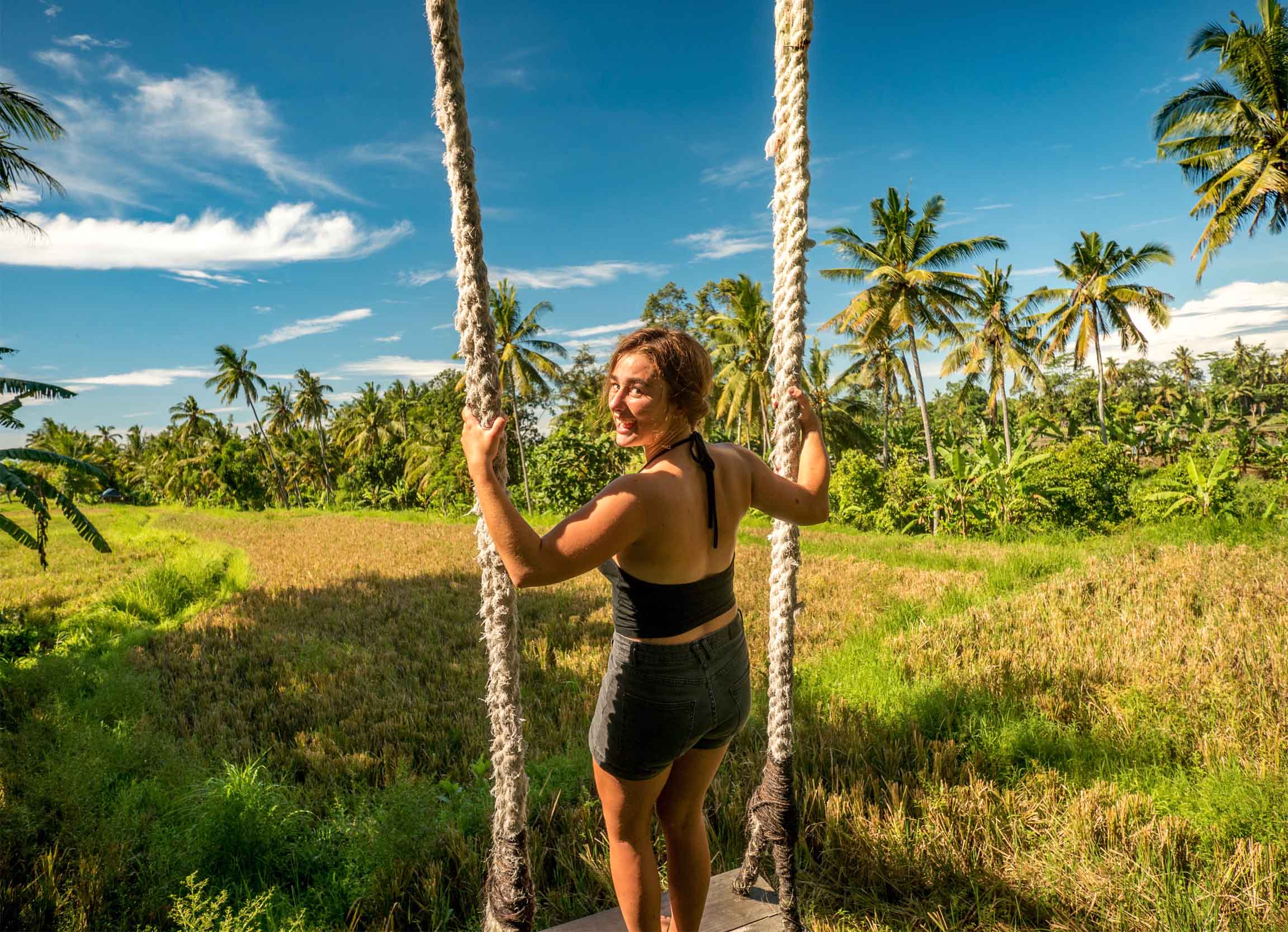 Ubud Reisfeld