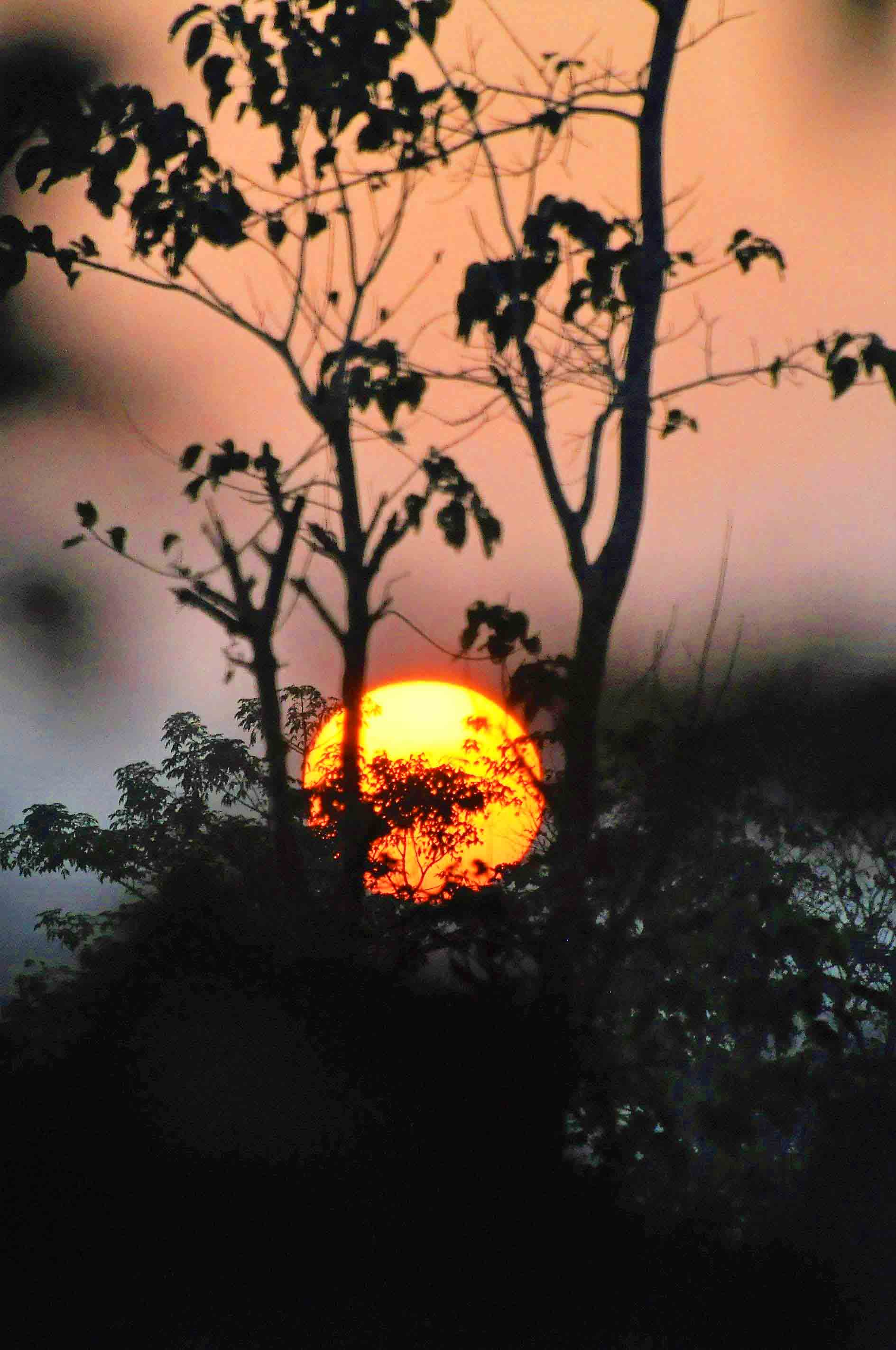Sonnenuntergang in der Natur