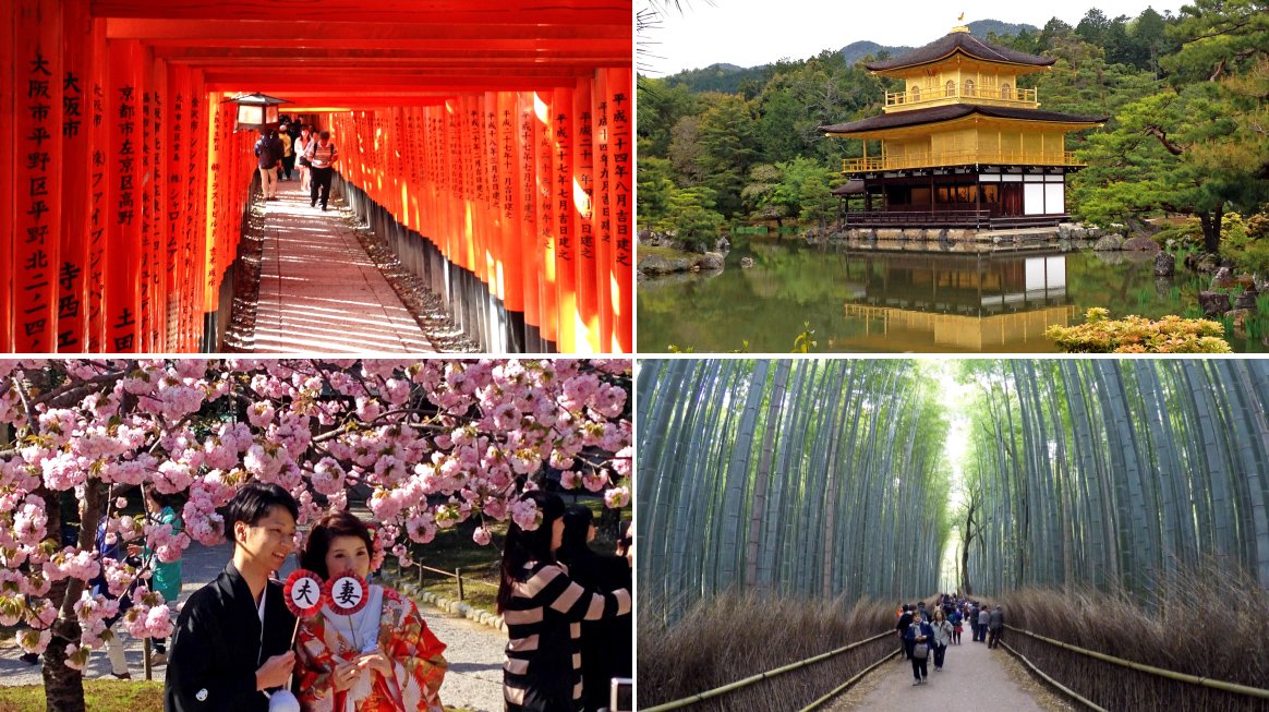 Backpacker Trip Japan